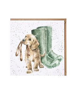 Wrendale Designs "Foraging Foray" Woodland Animal Birthday Card